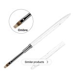 Ombre brush with cover